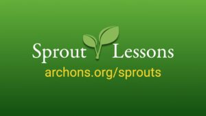 Sprout Lessons