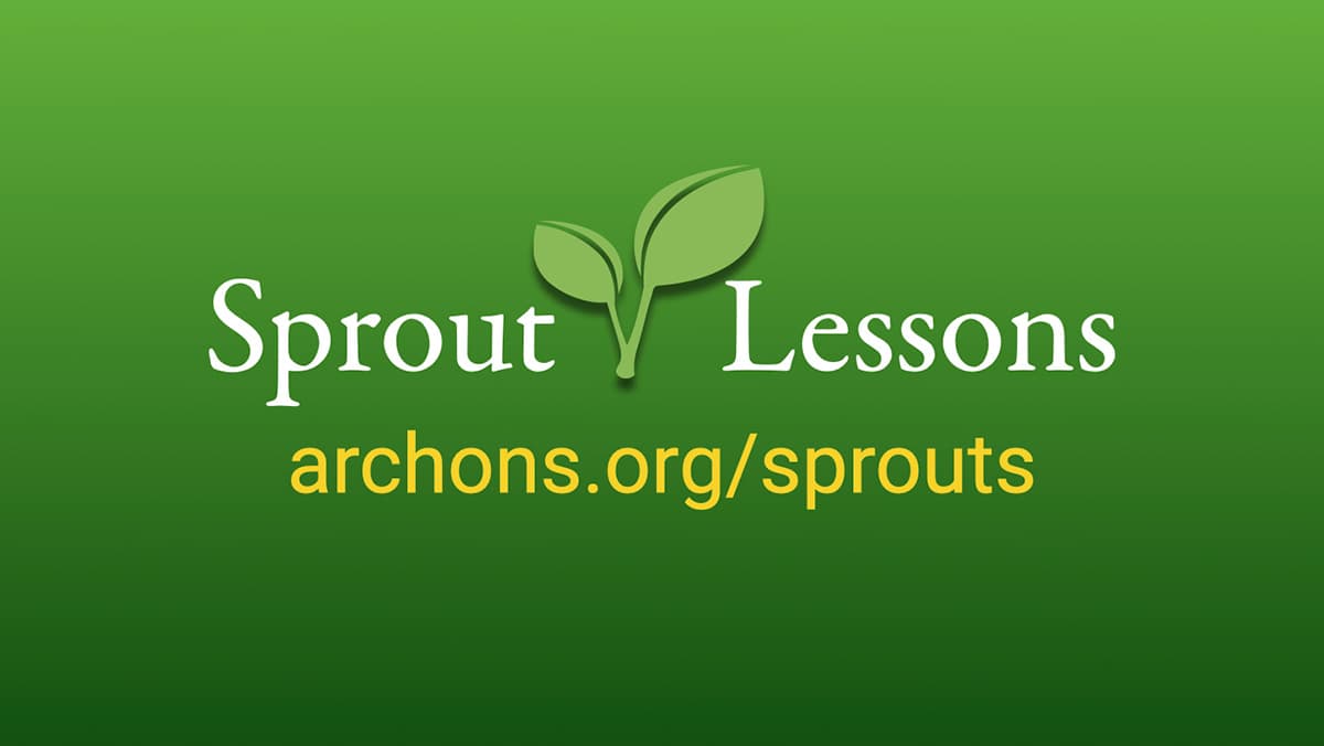 Sprout Lessons